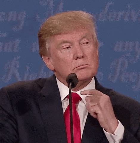 trump gifs|Donald Trump GIFs .